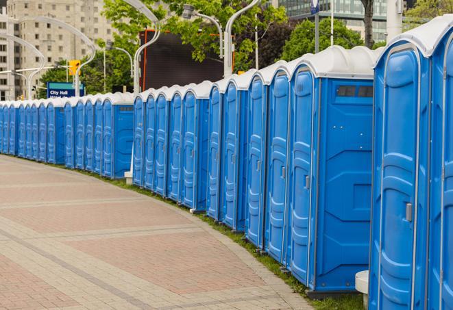 portable restrooms at a camping site, offering campers a comfortable and convenient way to answer nature's call in Christmas